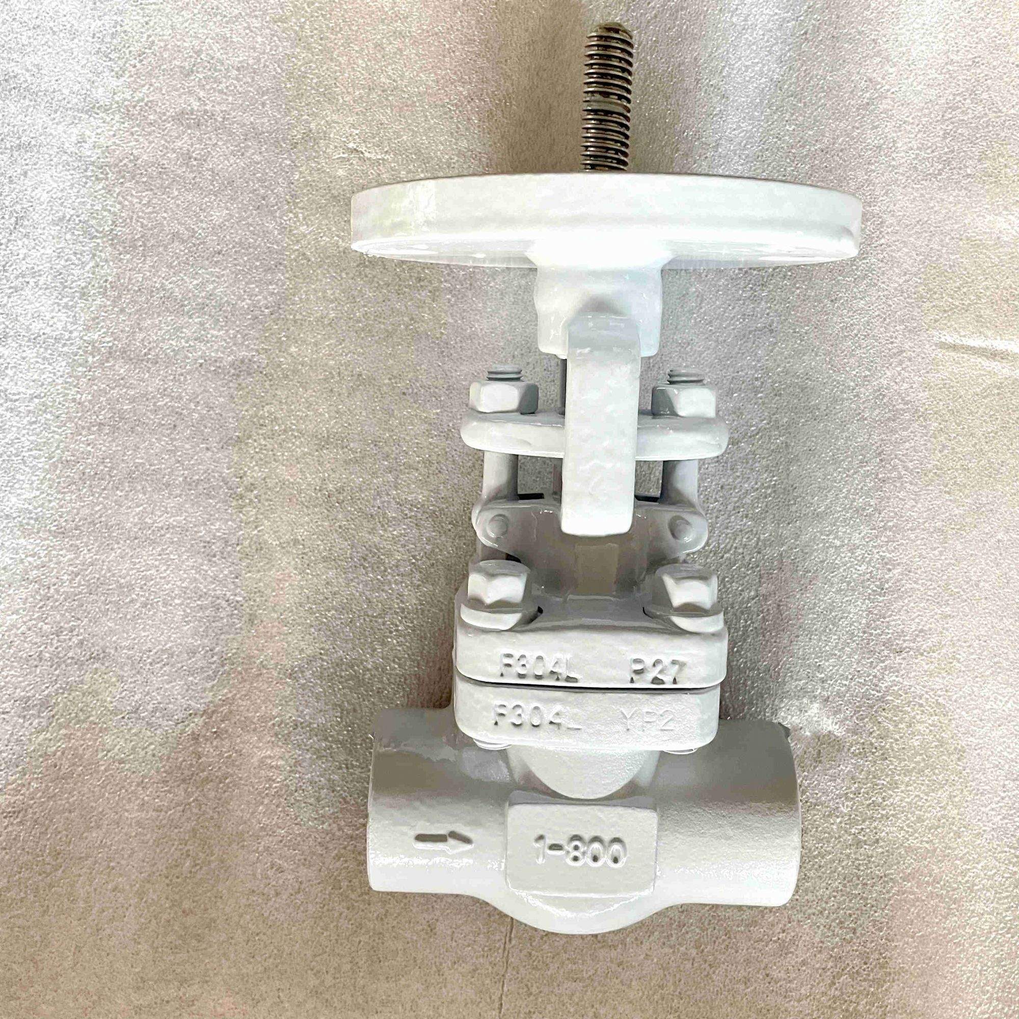 ASTM A182 F304L Globe Valve, 1 Inch, 800 LB, API 602, SW - Vervo